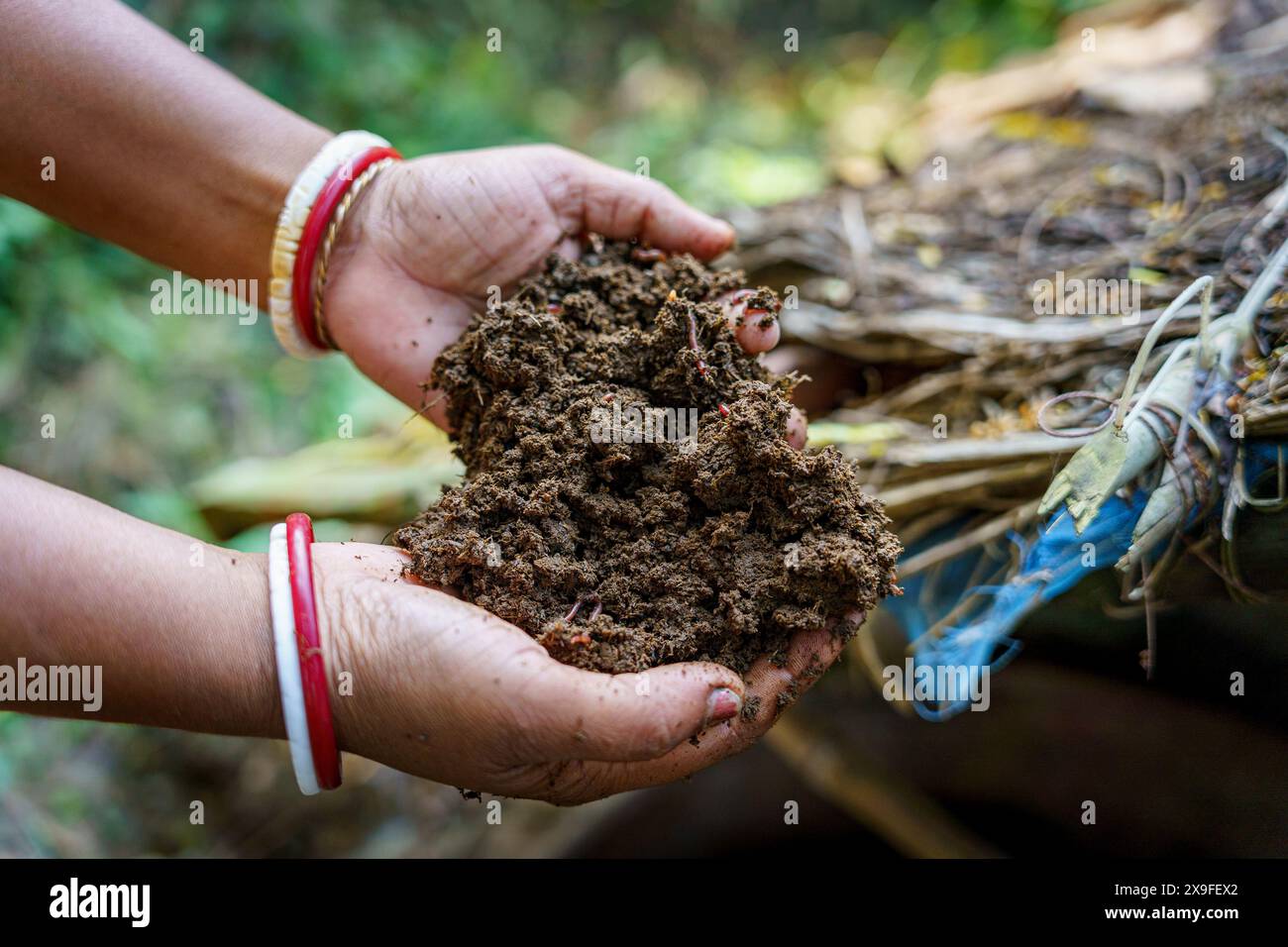 Hände einer indischen Farmerin, die den Boden nahe hält. Landwirtschafts- und Landwirtschaftskonzept für Frauen im ländlichen Indien. Emanzipation der Frau in Stockfoto