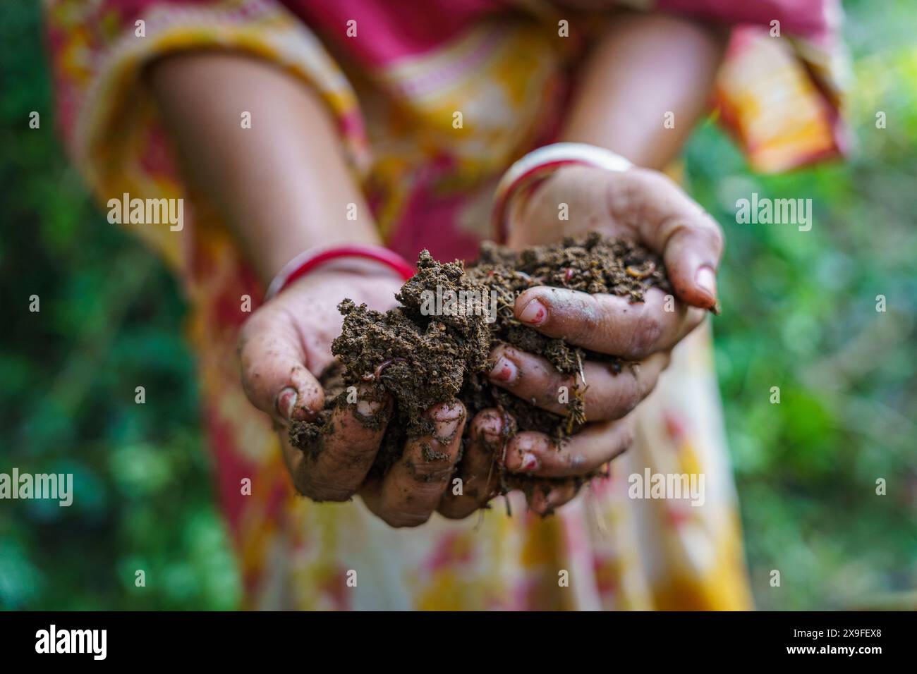 Hände einer indischen Farmerin, die den Boden nahe hält. Landwirtschafts- und Landwirtschaftskonzept für Frauen im ländlichen Indien. Emanzipation der Frau in Stockfoto