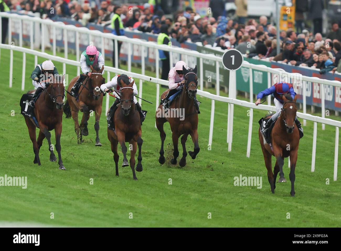 Epsom, Großbritannien. 31. Mai 2024. LUXEMBURG (IRE) (J) Ryan Moore (T) Aidan O’Brien gewinnt am 31. Mai 2024 DEN HOLLAND COOPER KRÖNUNGSPREIS (KLASSE 1) (Gruppe 1) (British Champions Series) auf der Epsom Racecourse, Epsom, Großbritannien. Foto von Ken Sparks. Nur redaktionelle Verwendung, Lizenz für kommerzielle Nutzung erforderlich. Keine Verwendung bei Wetten, Spielen oder Publikationen eines einzelnen Clubs/einer Liga/eines Spielers. Quelle: UK Sports Pics Ltd/Alamy Live News Stockfoto