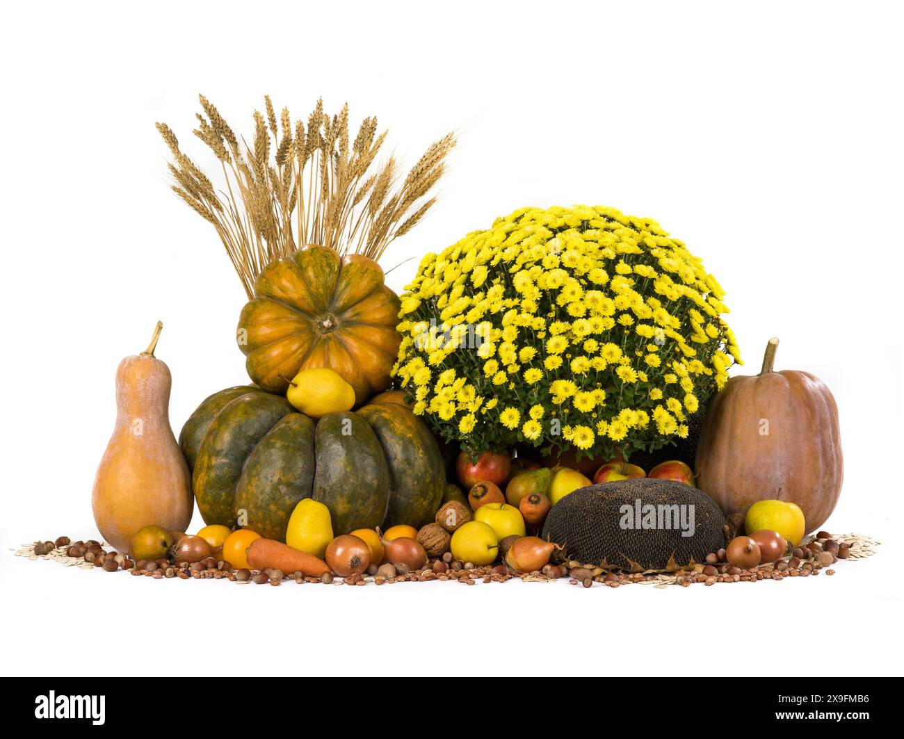 Herbststillleben in Gelbtönen isoliert auf weißem Hintergrund Stockfoto