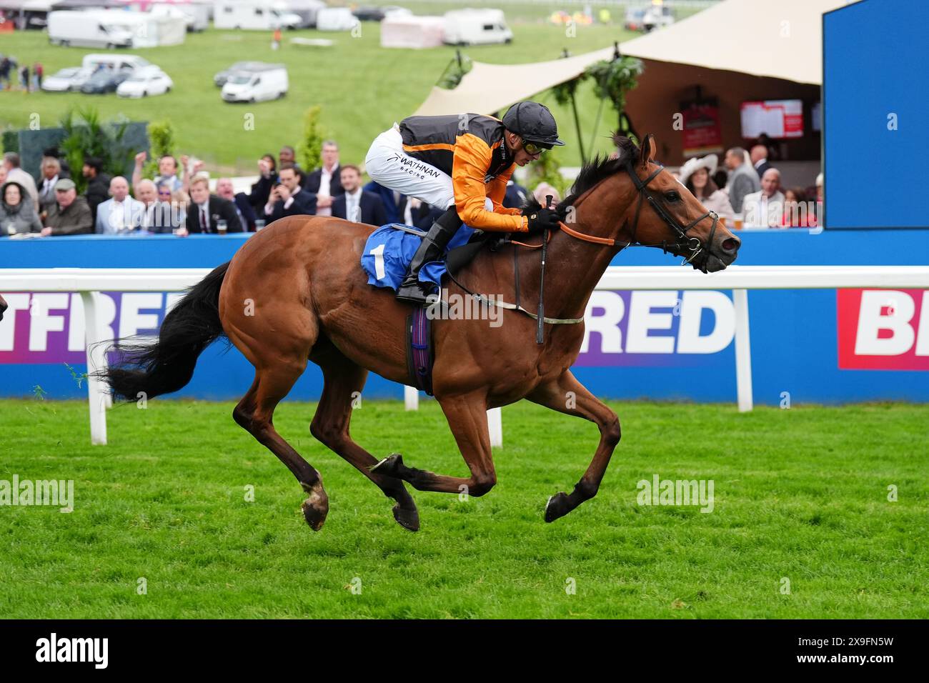 Rhoscolyn wurde von James Doyle auf dem Weg zum Sieg des Molson Coors Handicap am Ladies Day des Betfred Derby Festivals auf der Epsom Downs Racecourse gefahren. Bilddatum: Freitag, 31. Mai 2024. Stockfoto