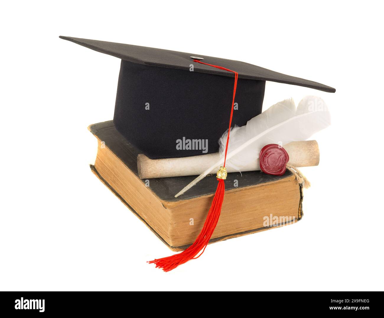Symbole der akademischen Wissenschaft sind auf weißem Hintergrund isoliert Stockfoto