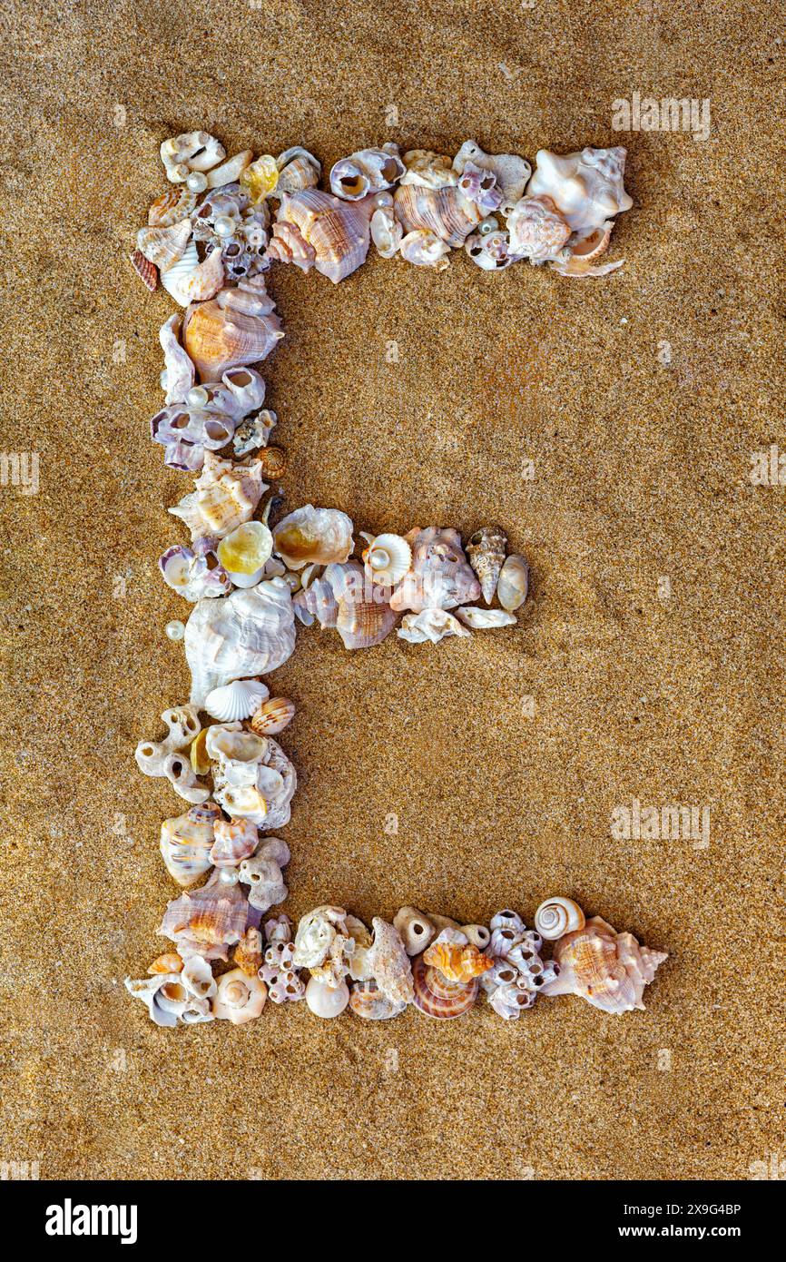 Der Buchstabe T des englischen Alphabets, ein Buchstabe aus Muscheln auf dem Sand. Muschelalphabet auf dem Sand. Nautische Buchstaben. Designer-Schriftart. Spanische Alp Stockfoto