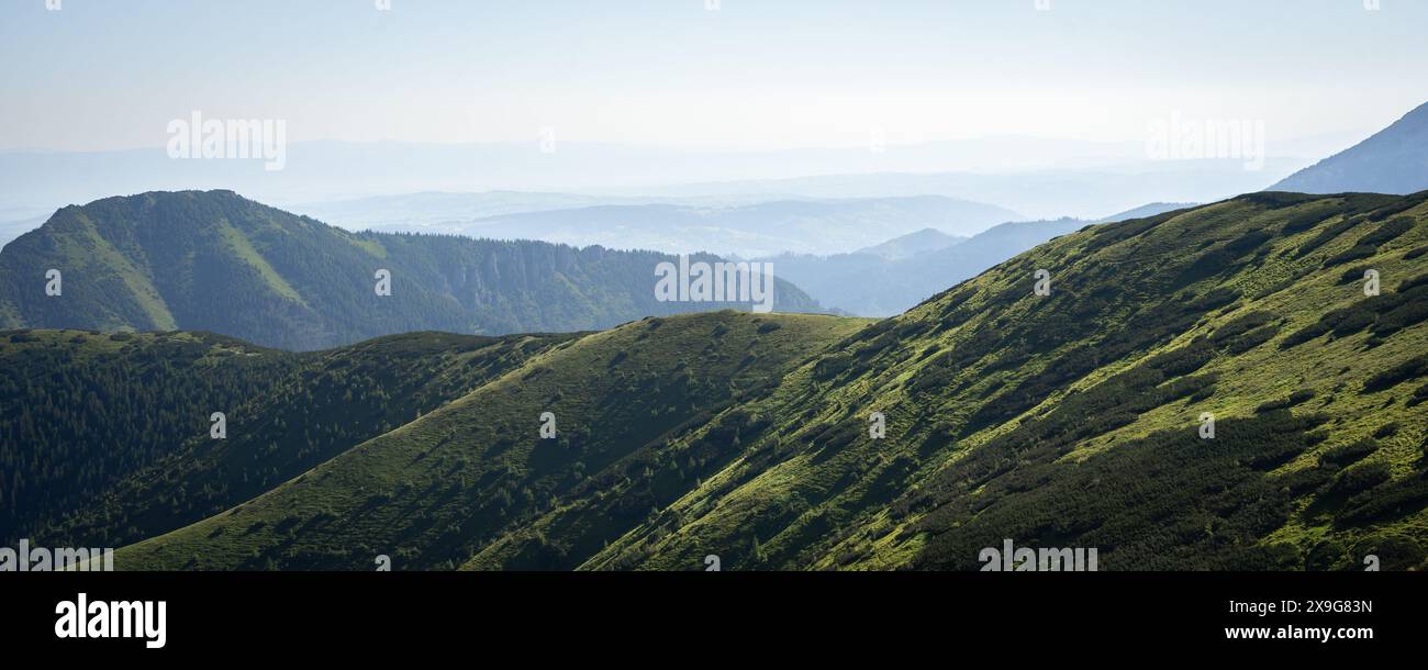 Grüner grasbewachsener Gebirgszug mit mehr Bergen, die in trübem Hintergrund verschwinden, Slowakei, Europa Stockfoto