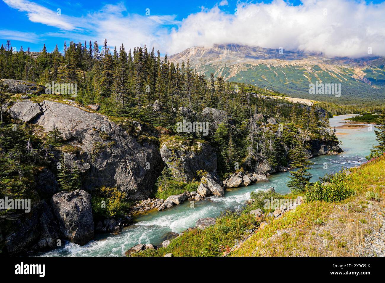 Wild River in der Chilkoot Trail National Historic Site in British Columbia, Kanada, aus Sicht des White Pass und der Yukon Route, startete von dort aus Stockfoto