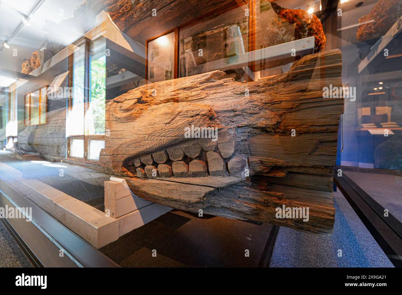 Holzskulptur des Killerwals im Totem Heritage Center in Ketchikan, Alaska, USA Stockfoto