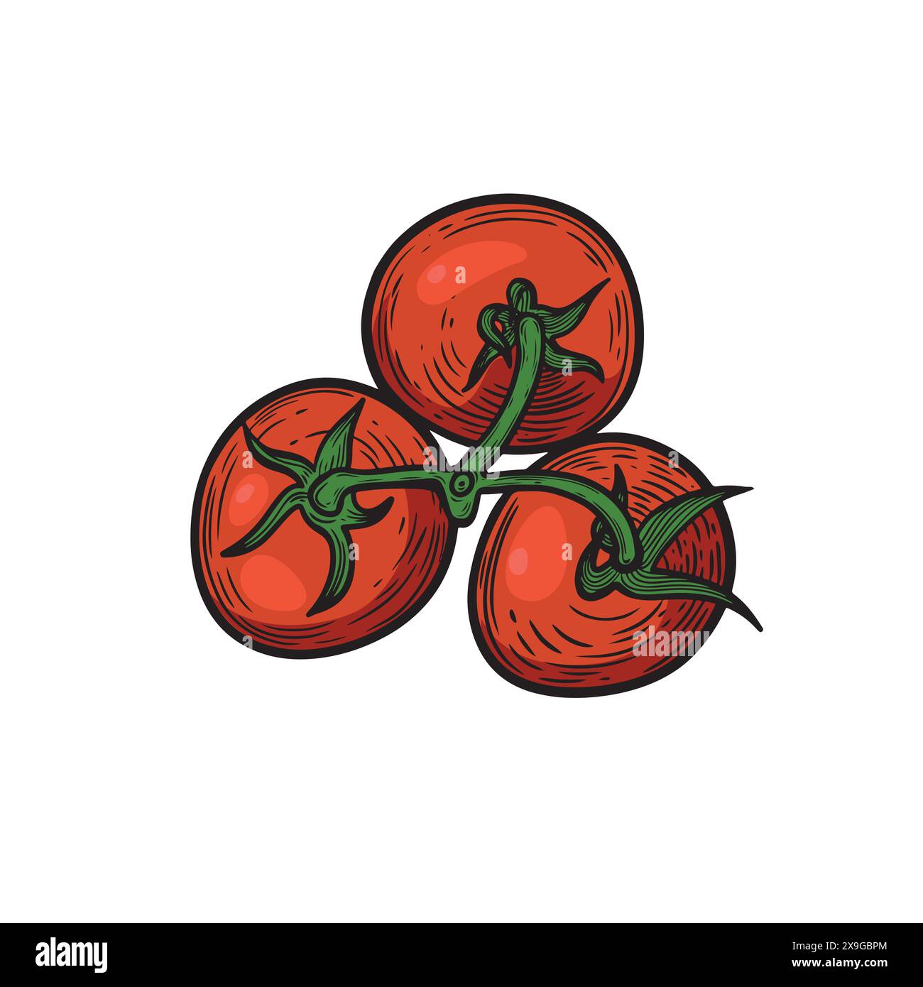 Draufsicht rote Tomaten Stangenlinie Zeichnung Vektor Illustration. Stock Vektor