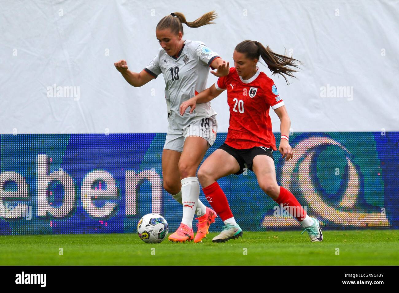 Ried, Österreich. 31. Mai 2024. RIED, ÖSTERREICH - MAI 31: Guorun Arnardottir aus Island und Lilli Purtscheller aus Österreich während des Qualifikationsspiels zur UEFA Women's EURO 2025 zwischen Österreich und Island in der Innviertel Arena am 31. Mai 2024 in Ried, Österreich.240531 SEPA 24 046 - 20240531 PD13280 Credit: APA-PictureDesk/Alamy Live News Stockfoto