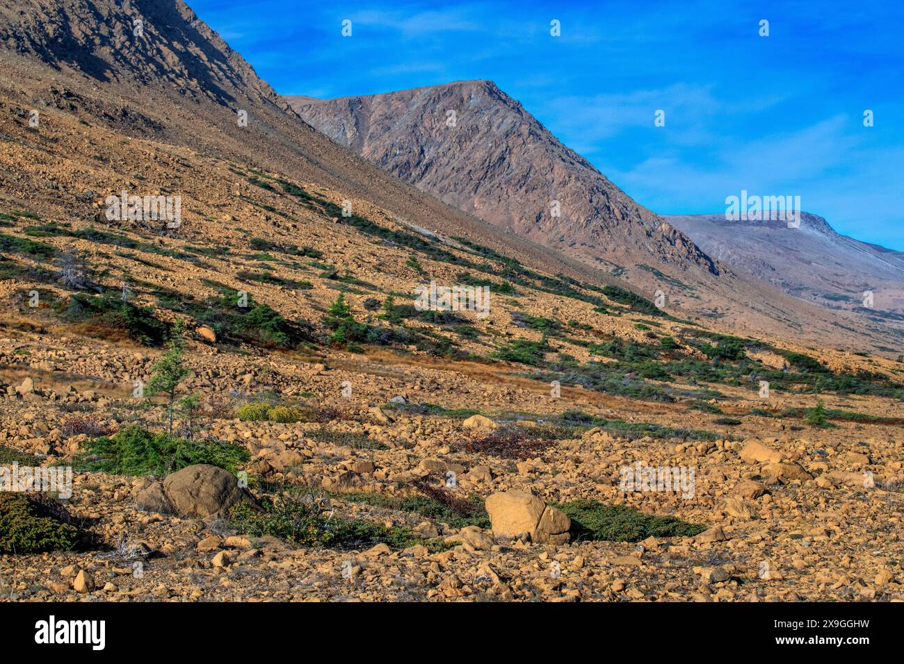 TABLELANDS. Peridotitgestein ist an der Erdoberfläche selten, weshalb sie vom UNESCO-Nationalpark Gros Morne, Neufundland & L zum Weltkulturerbe erklärt wurde Stockfoto