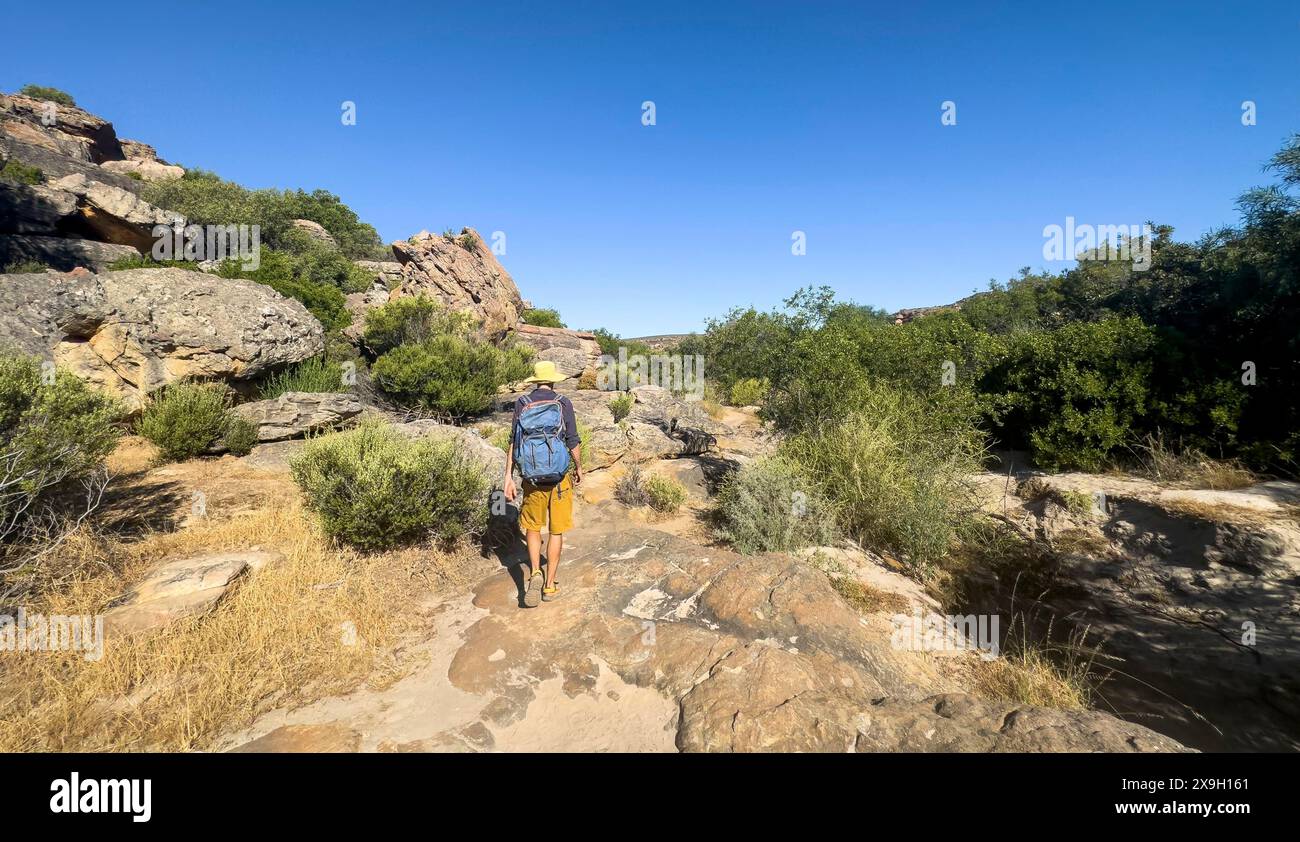 Wanderer auf dem Sevilla Art Rock Trail, trockene Landschaft mit gelben Felsen, Cederberg Mountains, nahe Clanwilliam, Westkap, Südafrika Stockfoto