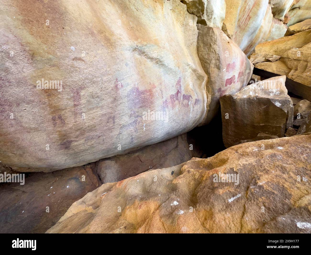 Prähistorische Darstellung verschiedener Menschen und Tiere auf einem Felsen, San-Felsmalereien, Sevilla Art Rock Trail, Cederberg Mountains, in der Nähe von Clanwilliam Stockfoto