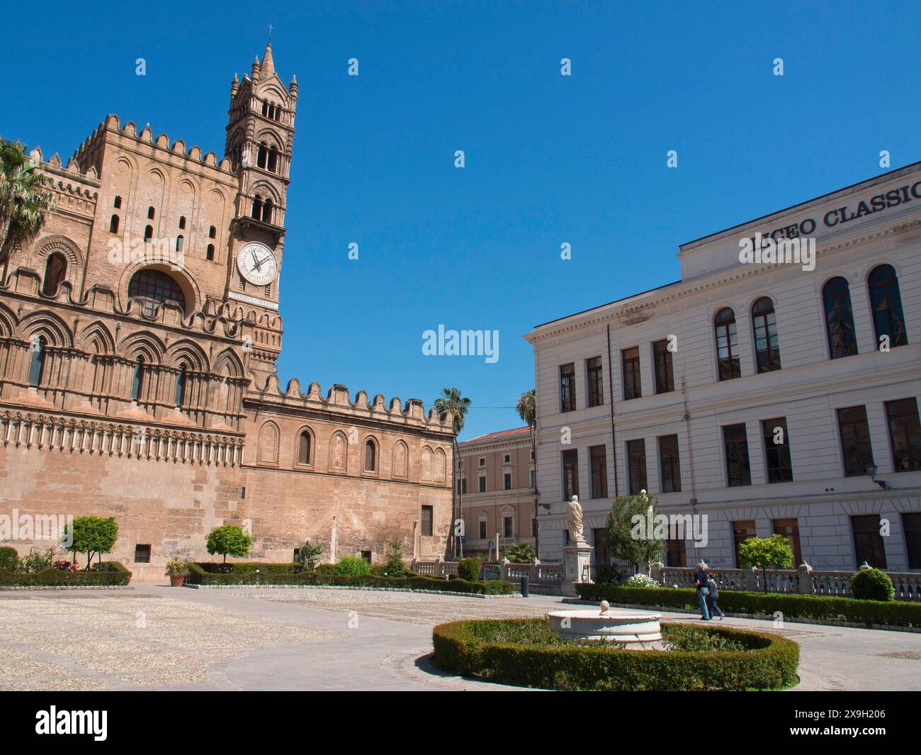 Historische Kathedrale und der Liceo Classico unter blauem Himmel mit Palmen im Vordergrund, palermo in sizilien mit einer beeindruckenden Kathedrale Stockfoto