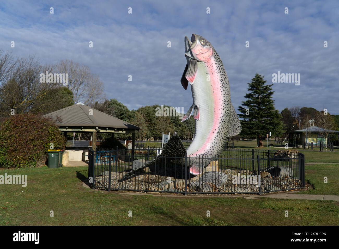 Adaminaby, New South Wales, Australien, 1. Jume, 2024, das neu gemalte Modell zeigt Oncorhynchus mykiss oder Regenbogenforellen, die aus dem Wasser springen. Stockfoto