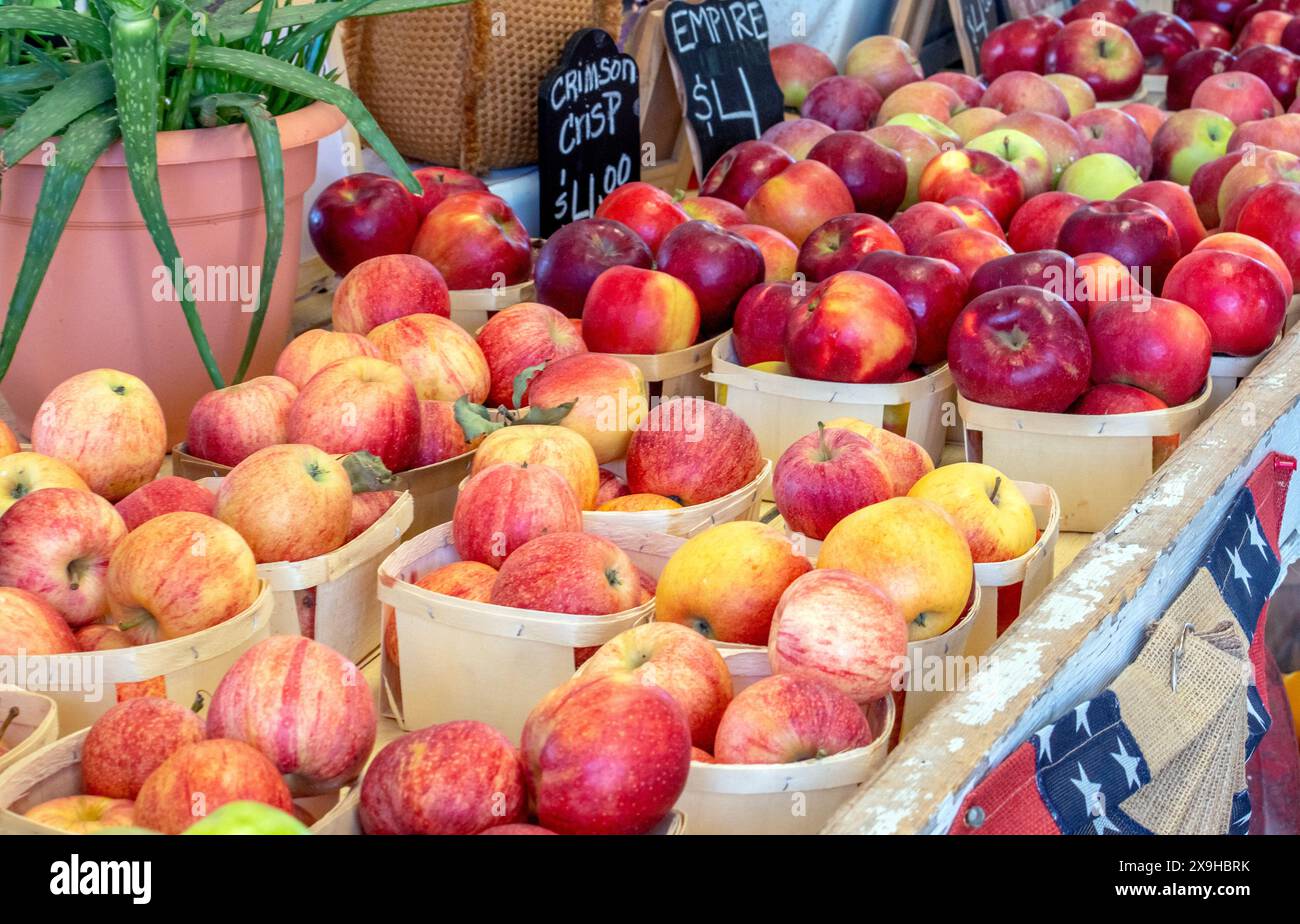 Behälter mit knusprigen Äpfeln werden auf einem Bauernmarkt in Michigan, USA, verkauft Stockfoto