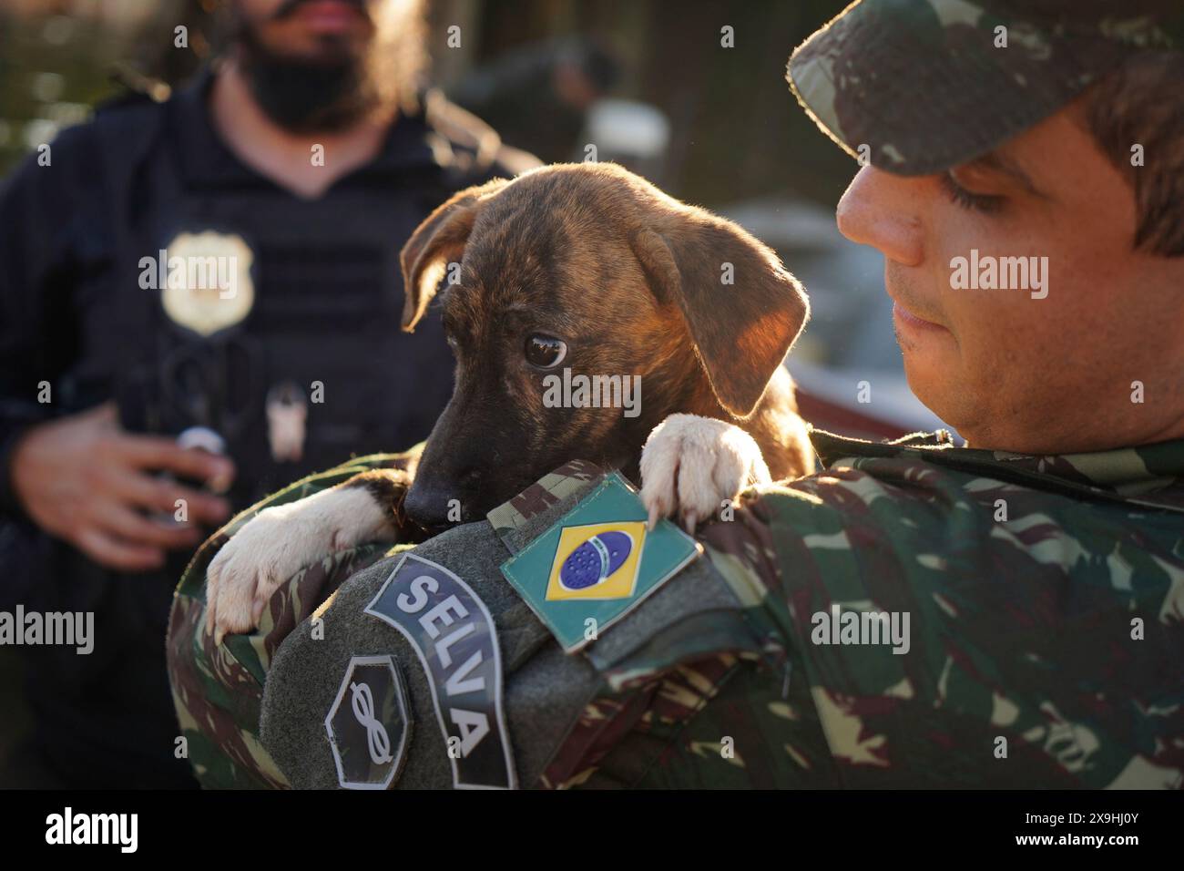 FILE - A Brazilian soldier carries a dog after rescuing it from a flooded area after heavy rain in Canoas, Rio Grande do Sul state, Brazil, Thursday, May 9, 2024. A top United Nations official says even though climate change makes disasters such as cyclones, floods and droughts more intense, more frequent and striking more places, fewer people are dying from those catastrophes globally. Thats because of better warning, planning and resilience. (AP Photo/Carlos Macedo, File) Stockfoto