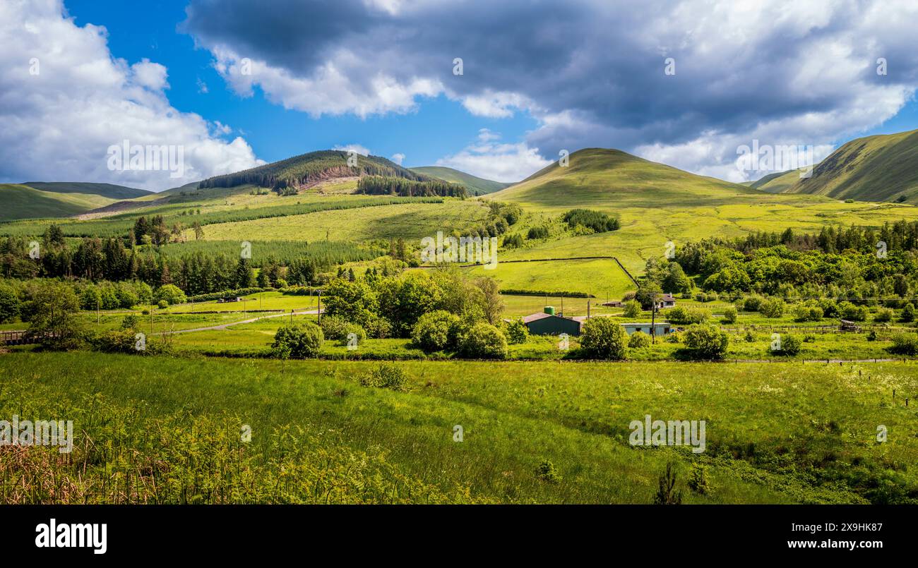 Sommerlandschaft in Dumfries und Galloway, Schottland Stockfoto