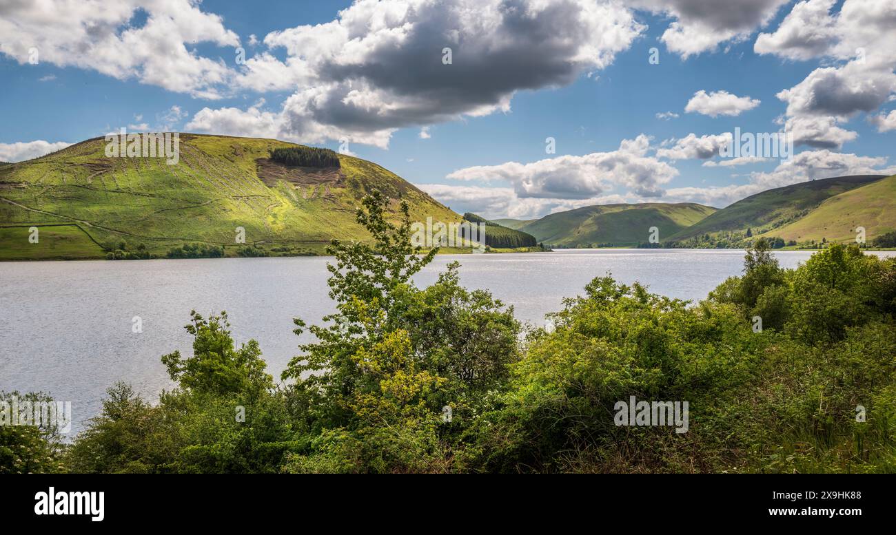 St. Marys Loch in der schottischen Grenze Stockfoto