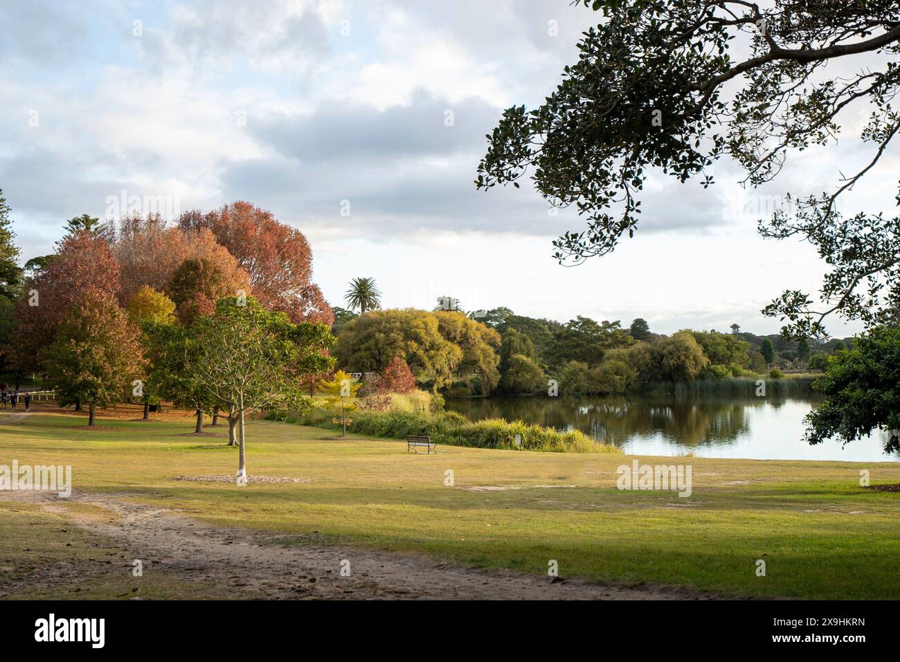 Herbst im Centennial Park in Sydney, Australien Stockfoto