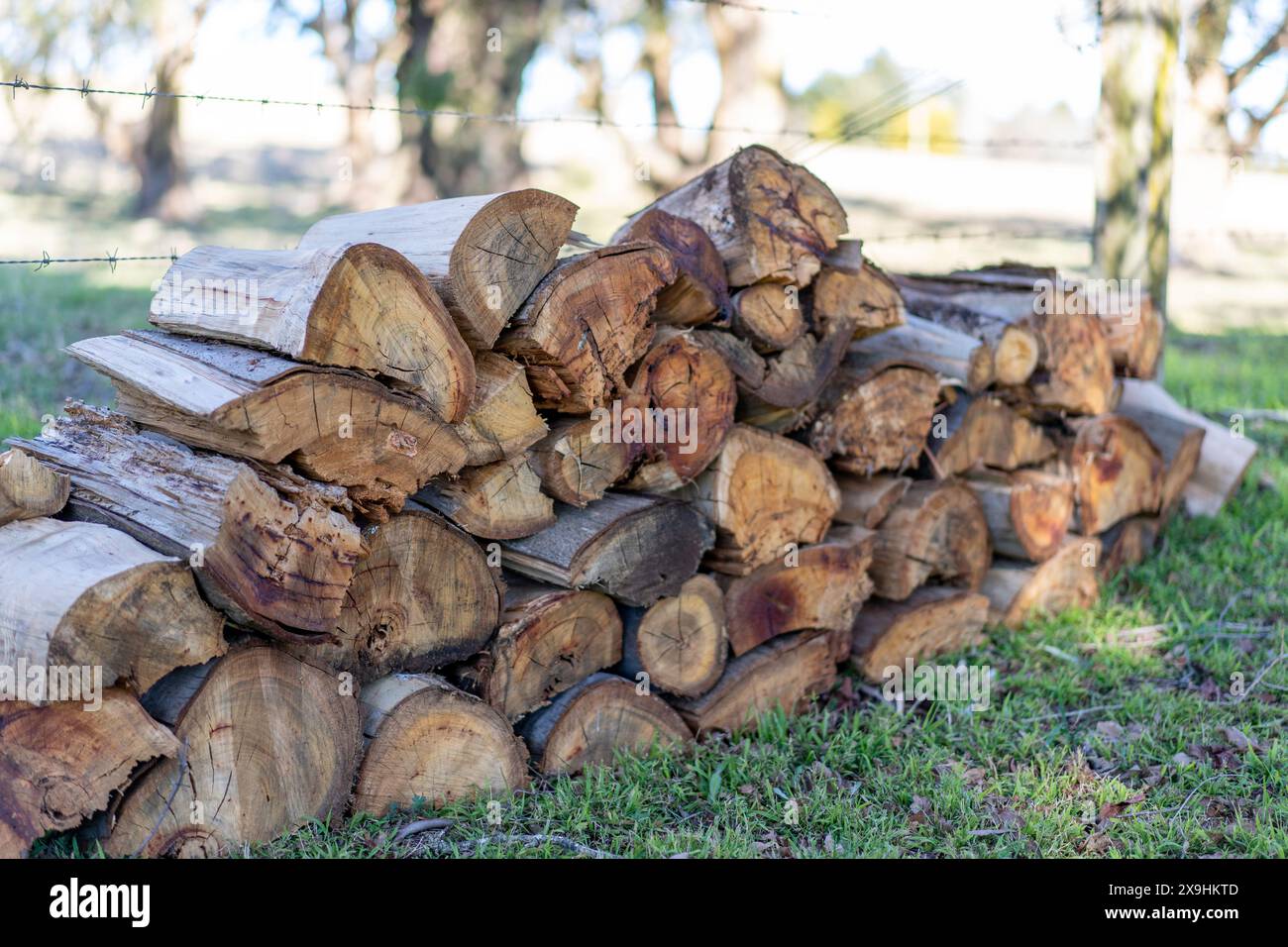 Gehackte Holzstapel vor dem winterlichen Kamin Stockfoto