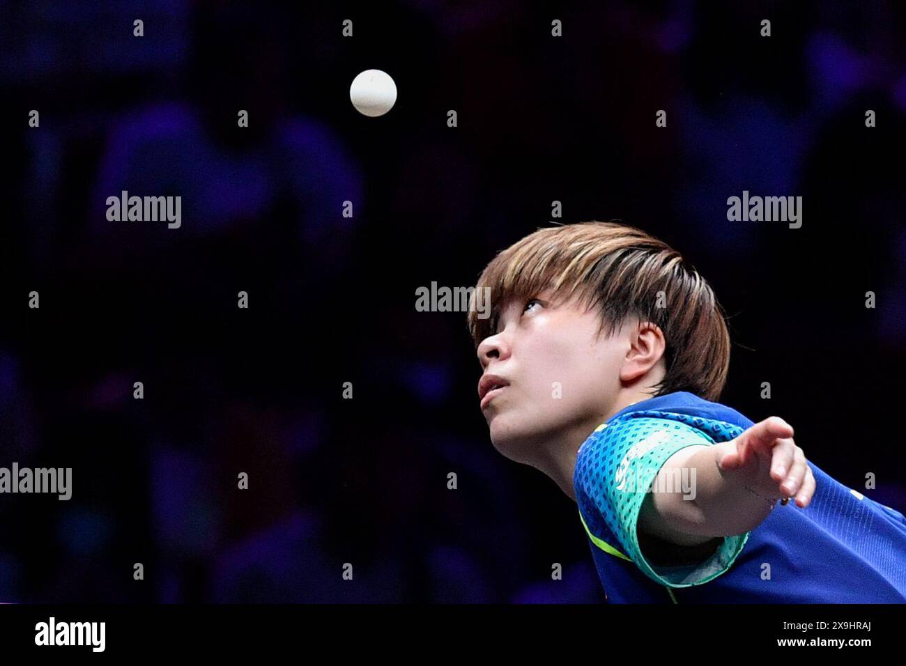 Chongqing. Juni 2024. Wang Yidi aus China dient He Zhuojia aus China während des Achtelfinale-Spiels der Frauen beim WTT Champions Chongqing 2024 im Südwesten Chinas Chongqing am 1. Juni 2024. Quelle: Zhang Ziyu/Xinhua/Alamy Live News Stockfoto