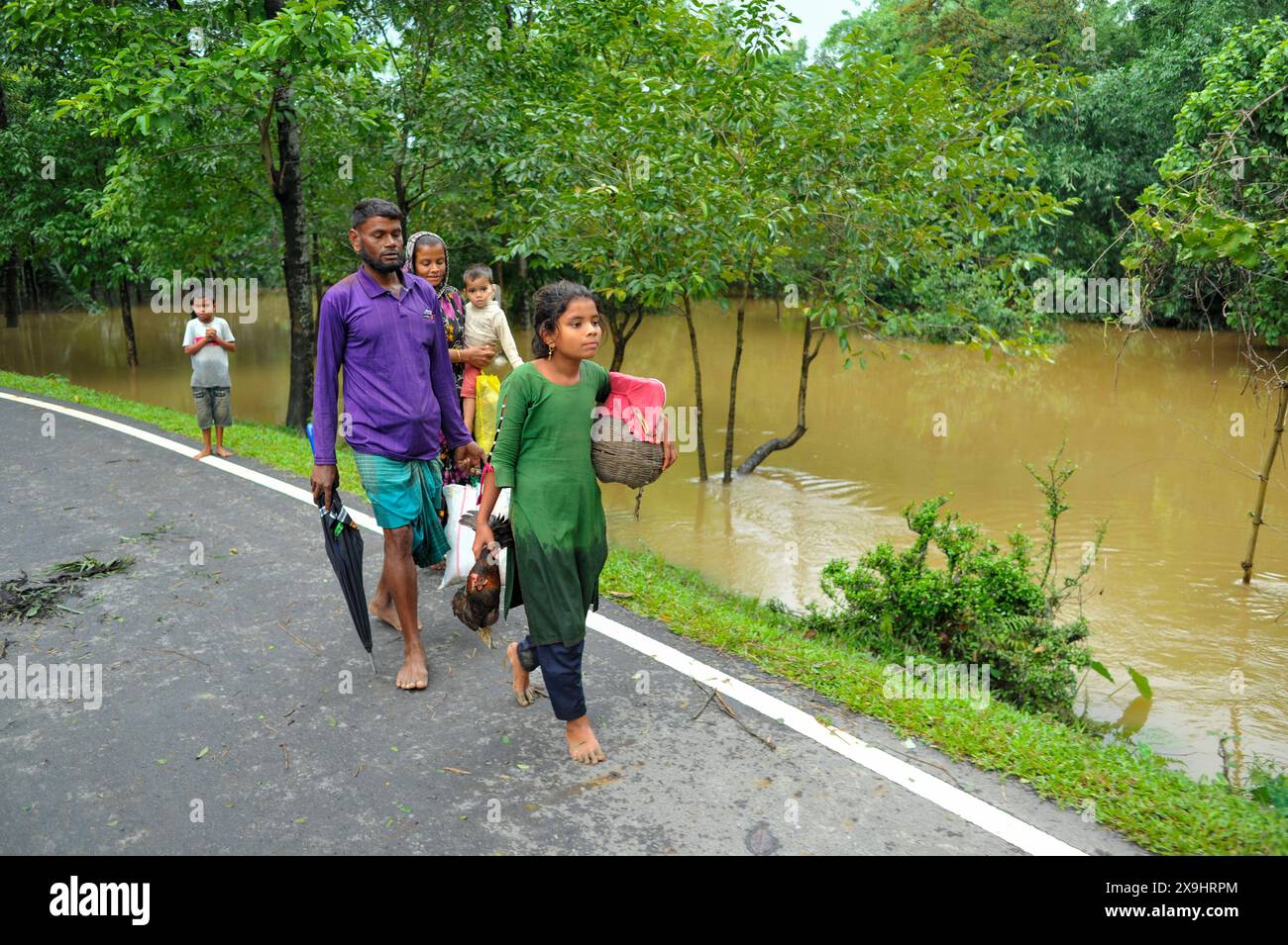 Sylhet, Bangladesch. 30. Mai 2024. In der Barhal-Gegend von Goainghat upazila wurden viele Häuser von Überschwemmungen überschwemmt, was die Bewohner zwang, woanders mit ihren Rindern und Geflügel Zuflucht zu suchen. Starke Regenfälle vom Zyklon Remal haben Überschwemmungen aus den Bergen von Meghalaya verursacht, indem sie Jaintapur, Goainghat, Kanaighat und Jakiganj upazilas überschwemmen und etwa drei Menschen am See einsperren. Stockfoto