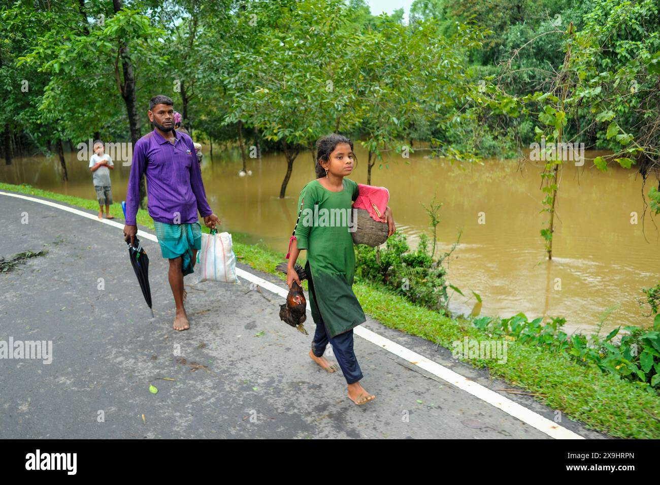 Sylhet, Bangladesch. 30. Mai 2024. In der Barhal-Gegend von Goainghat upazila wurden viele Häuser von Überschwemmungen überschwemmt, was die Bewohner zwang, woanders mit ihren Rindern und Geflügel Zuflucht zu suchen. Starke Regenfälle vom Zyklon Remal haben Überschwemmungen aus den Bergen von Meghalaya verursacht, indem sie Jaintapur, Goainghat, Kanaighat und Jakiganj upazilas überschwemmen und etwa drei Menschen am See einsperren. Stockfoto