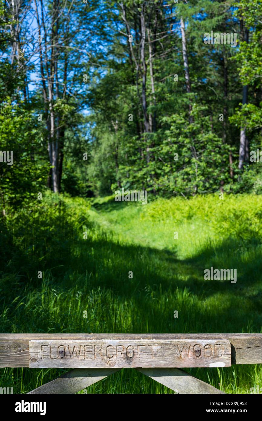 Private Woodland, Flowercroft Wood, Nr Sonning Common/Henley-on-Thames, Oxfordshire, England, GROSSBRITANNIEN, GB. Stockfoto