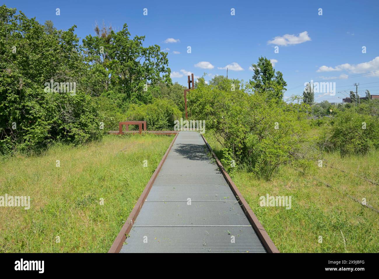 Stegweg, Naturpark Schöneberger Südgelände, Prellerweg, Schöneberg, Berlin, Deutschland Stockfoto
