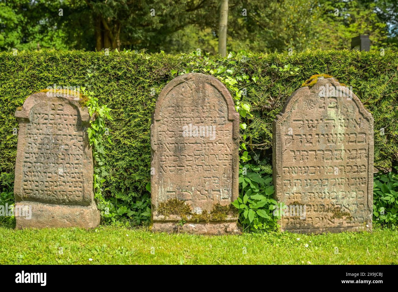 Grabsteine, jüdischer Friedhof, Waldbachfriedhof, Offenburg, Baden-Württemberg, Deutschland Stockfoto