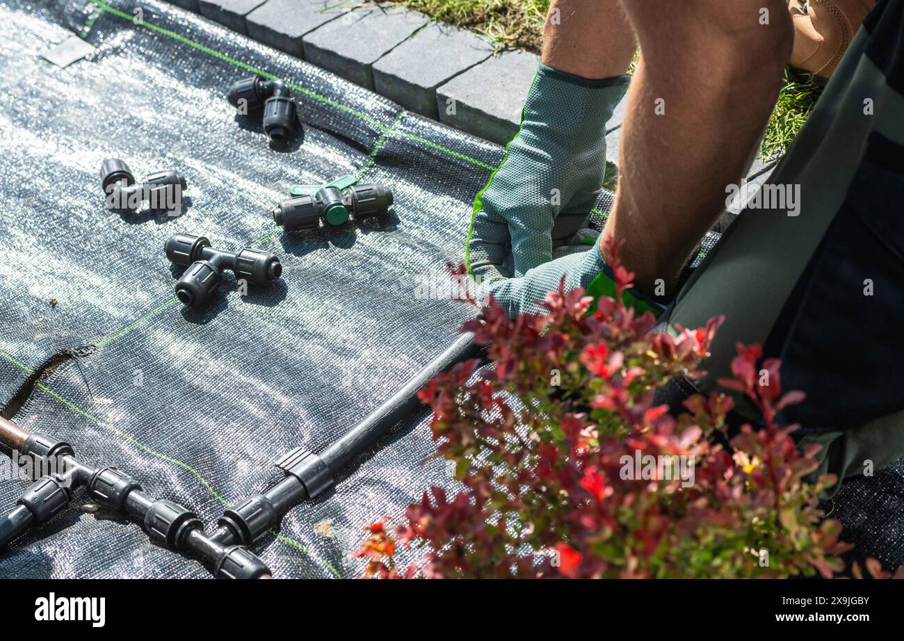 Installation des Tropfbewässerungssystems im Garten Stockfoto