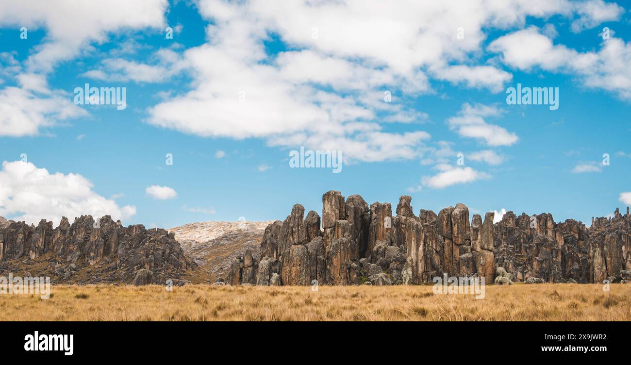 Huayllay Stone Forest, Felsen, die im Laufe der Jahre vom Wind erodiert wurden und Steinfiguren bilden. Pasco. Peru, weite Sicht Stockfoto