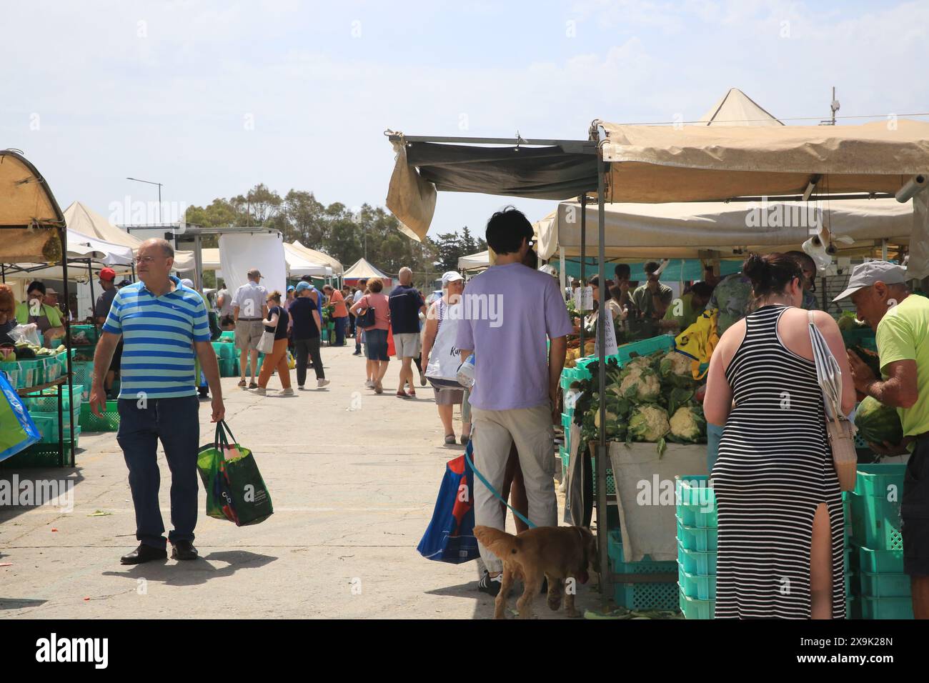 (240601) -- TA'QALI, 1. Juni 2024 (Xinhua) -- Menschen kaufen landwirtschaftliche Erzeugnisse auf einem Markt in Ta'Qali, Malta, 1. Juni 2024. (Xinhua/Chen Wenxian) Stockfoto