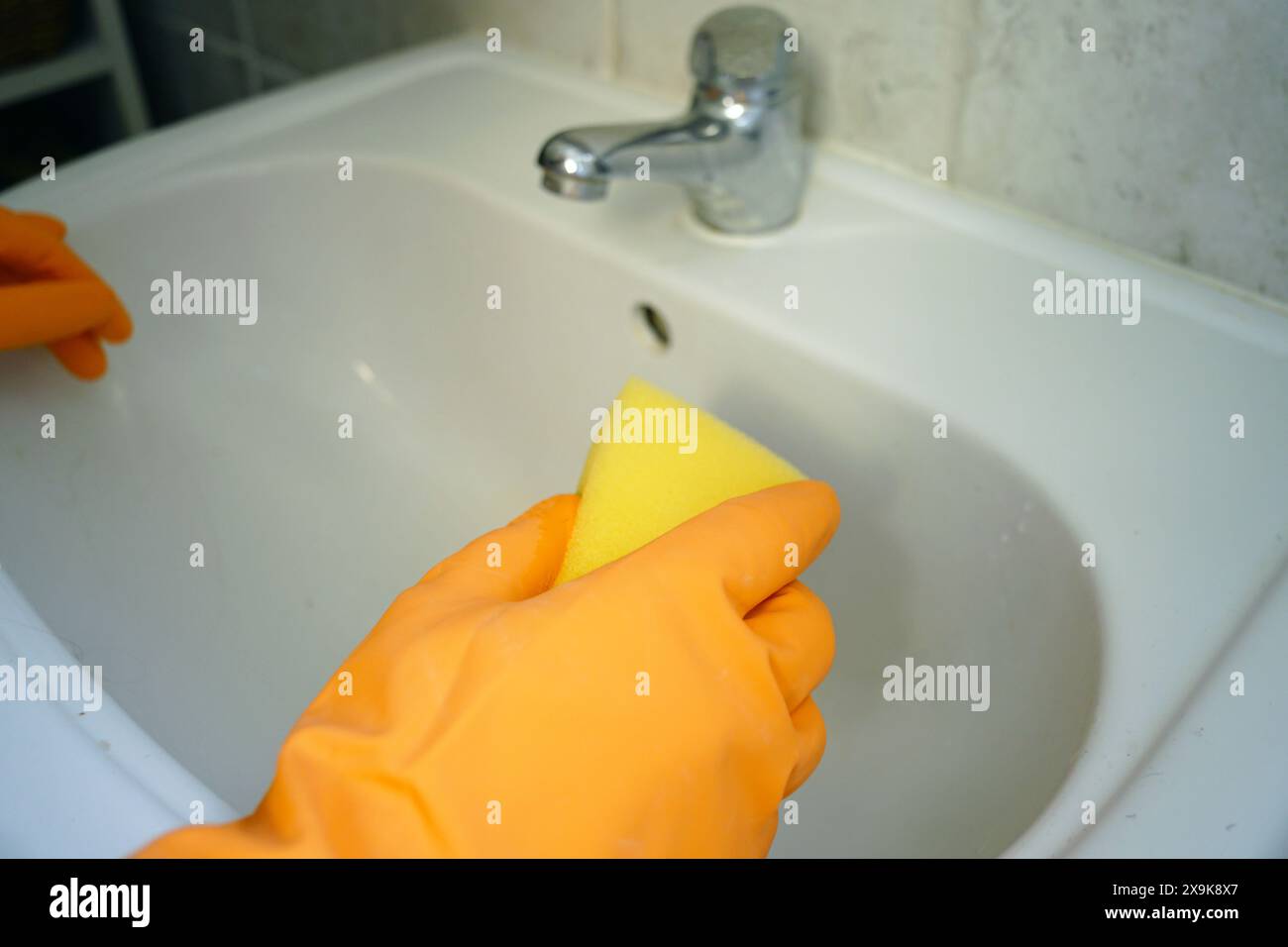 Reinigung und Desinfektion des Badezimmers in Nahaufnahme. Hände in hellen Latexhandschuhen auf dem gefliesten Waschbecken halten einen Schwamm. Stockfoto