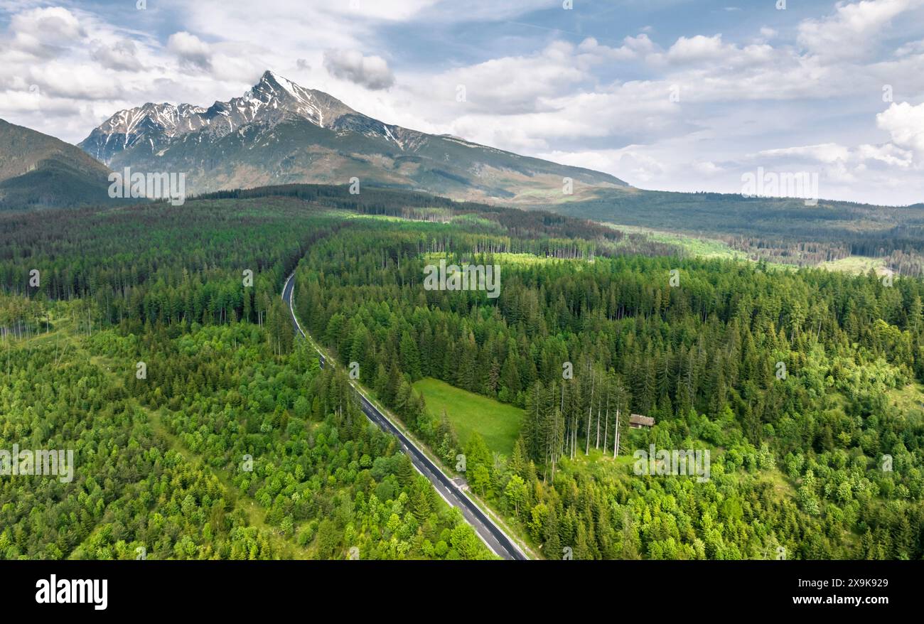 Panorama der Hohen Tatra und Straße durch Nadelwald, Strbske, Slowakei Stockfoto