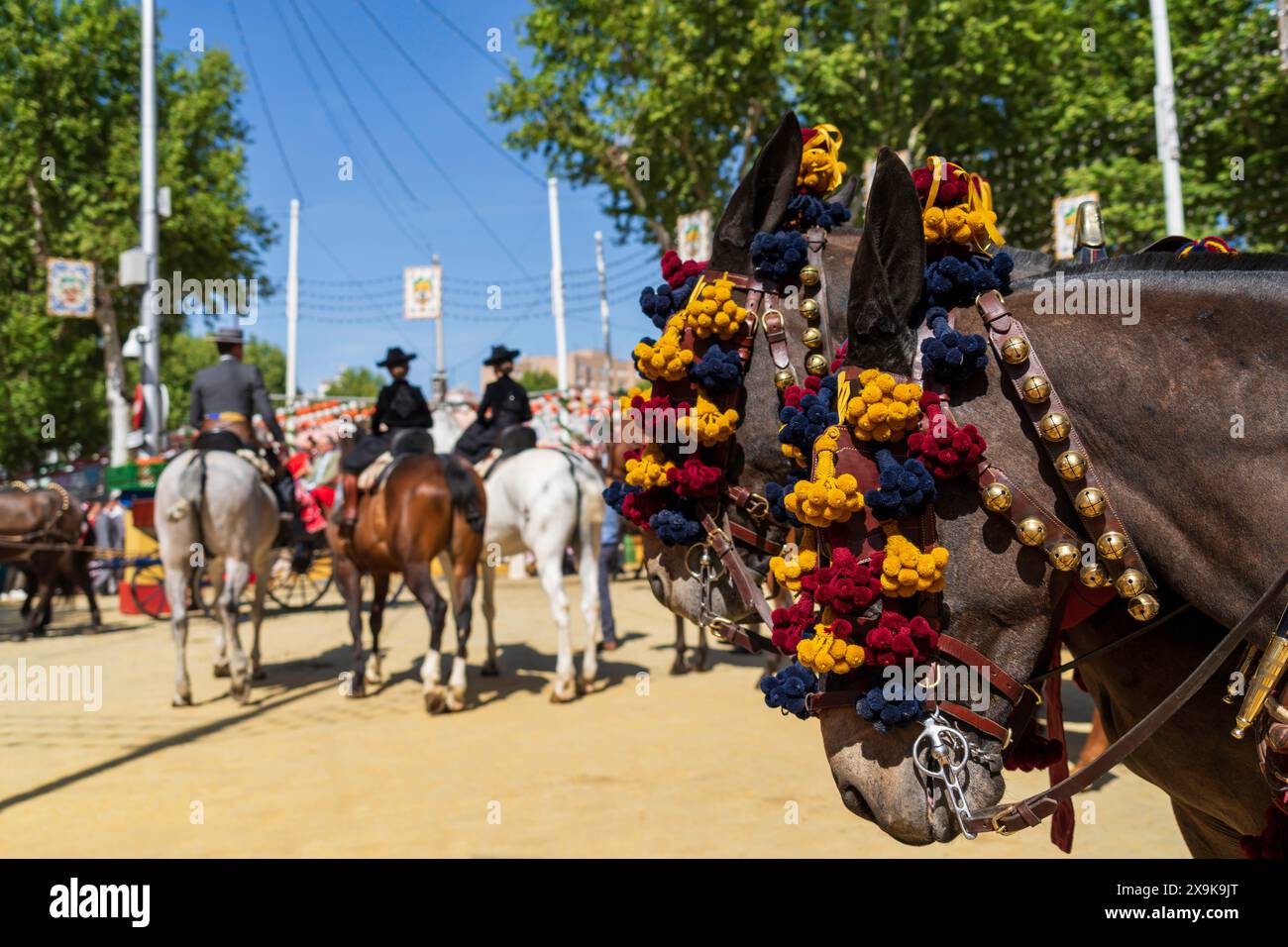Sevilla April Fair, Feria de Abril de Sevilla oder Sevilla Fair, mit dekorierten Pferden, Maultieren und Pferdereitern auf dem Festival. Sevilla Stadtbild. Stockfoto