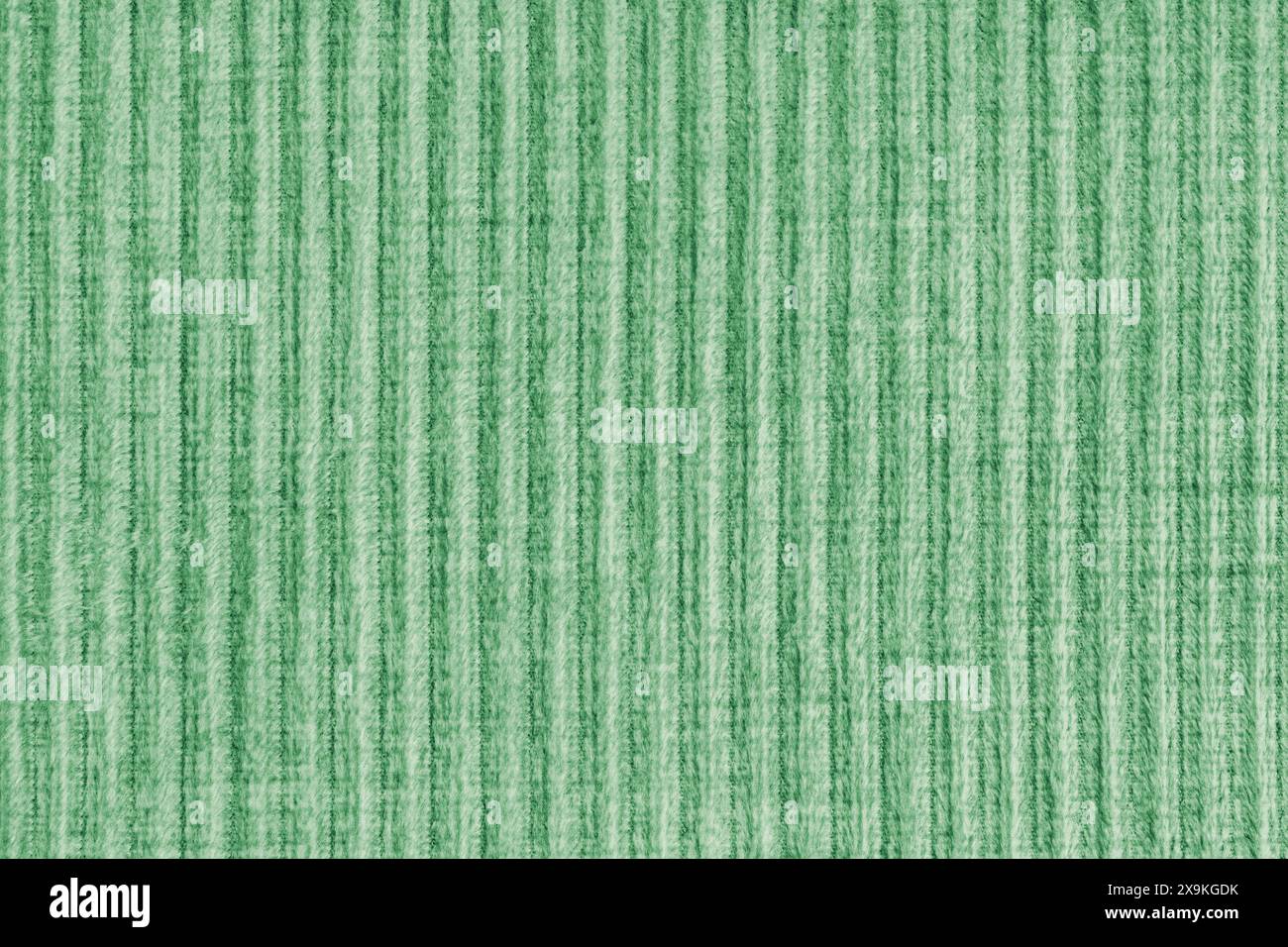Ridge Textur Hintergrund aus Velours Cordgrün Tuch. Großer gerippter, grober gewebter Samtstoff, gestreifter Polsterstoff, Möbeltextilien Stockfoto
