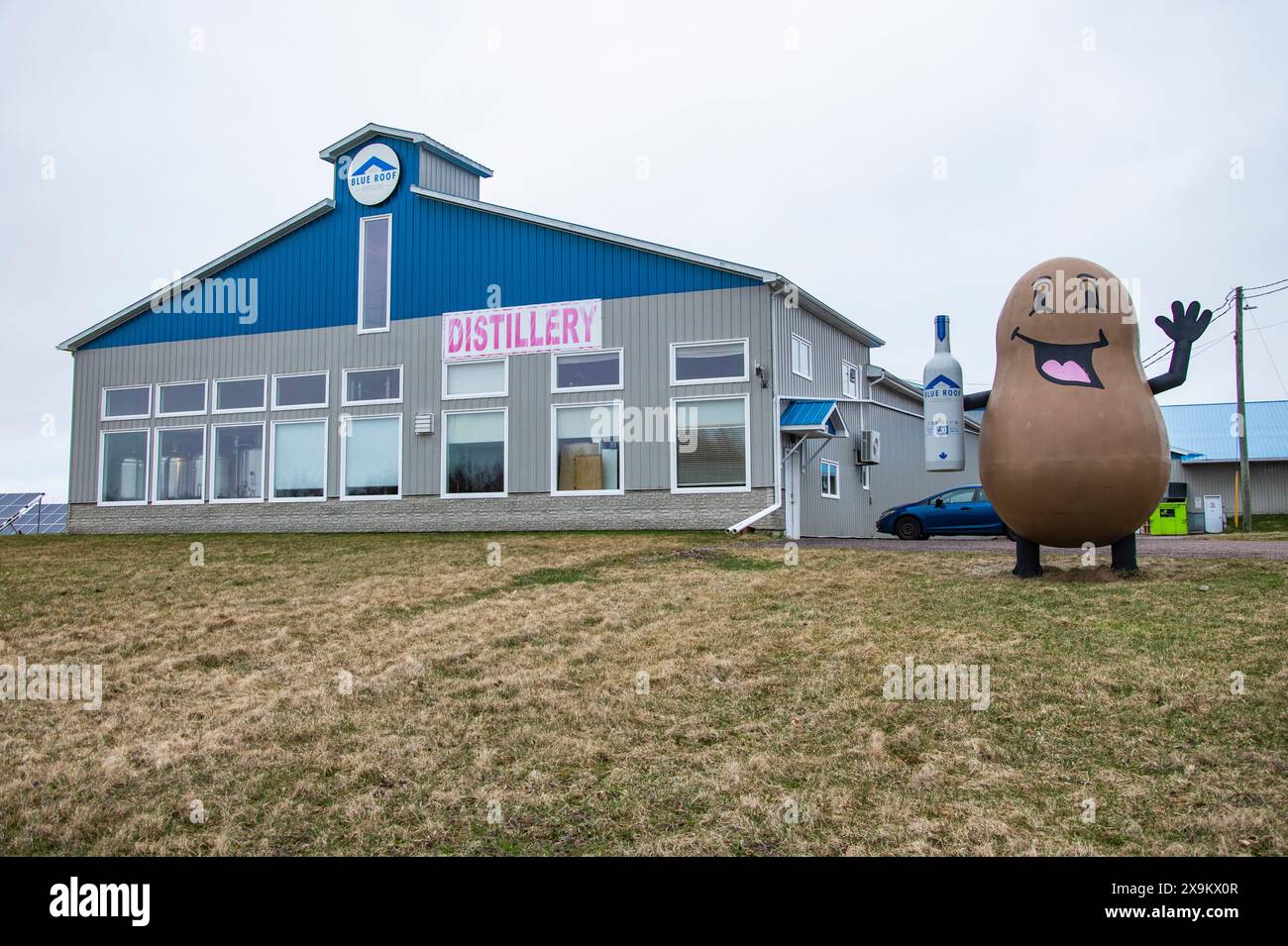 Kartoffelmaskottchen bei Blue Roof Distillers in Malden, New Brunswick, Kanada Stockfoto