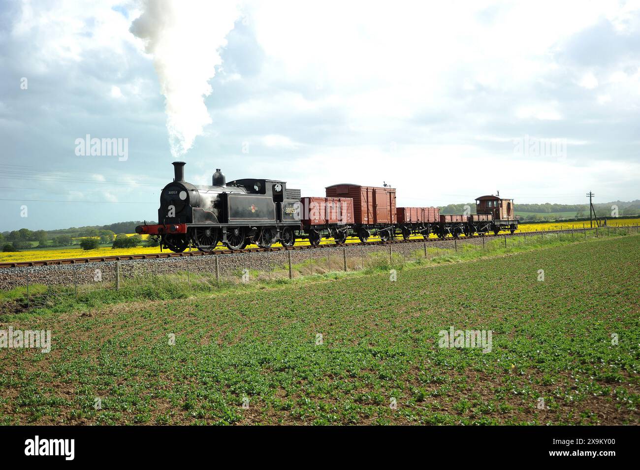 '30053' und ein kurzer Güterzug. Hier in der Nähe der Wittersham Road. Stockfoto