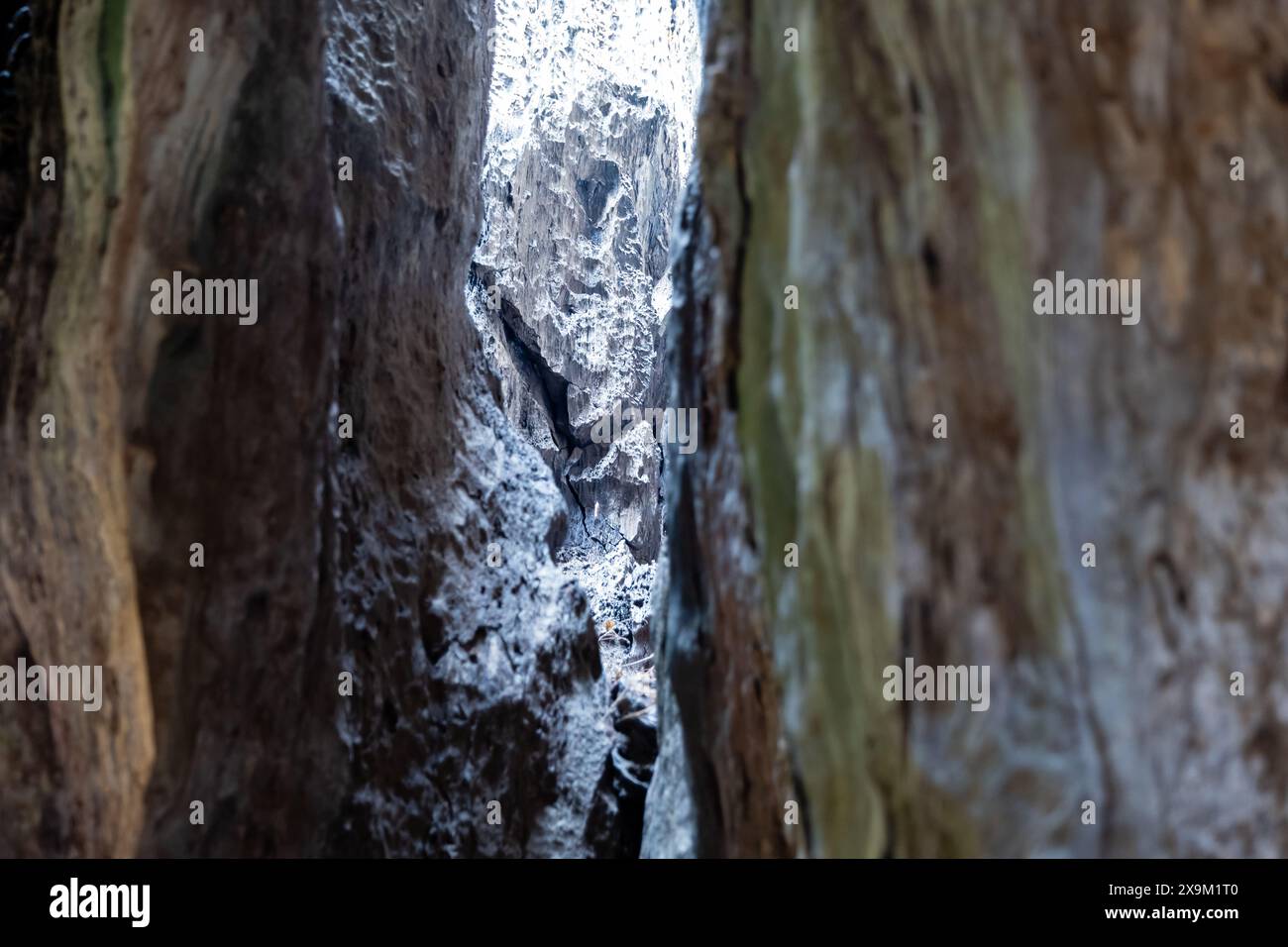 Dieses fesselnde Stockfoto fängt das Wesen der Kunst der Natur mit einem beleuchteten Pfad zwischen zwei rauen, strukturierten Oberflächen ein Stockfoto