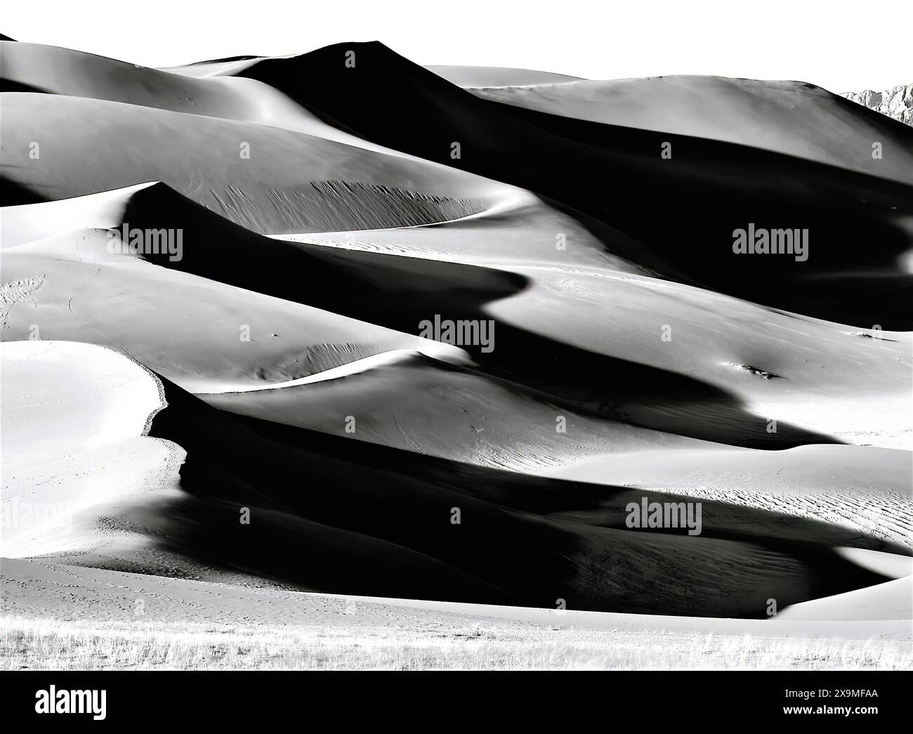 Monochrome Sanddünen, Grate und Schatten. Stockfoto
