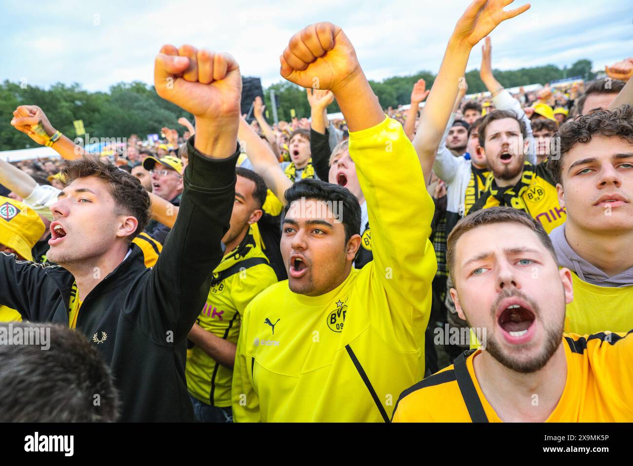 London, Großbritannien. Juni 2024. Die Fans der Borussia Dortmund im Hyde Park Fan Park beobachten das Spiel besorgt und viele enttäuscht über die verpassten Chancen. Farbige Lichter werden in einer Phase beleuchtet, aber die Atmosphäre an der Anlage, die fast ihre Kapazität von 20 km erreicht zu haben scheint, bleibt friedlich. Real Madrid gewinnt das UEFA Champions League-Finale 2-0 gegen Borussia Dortmund. Quelle: Imageplotter/Alamy Live News Stockfoto