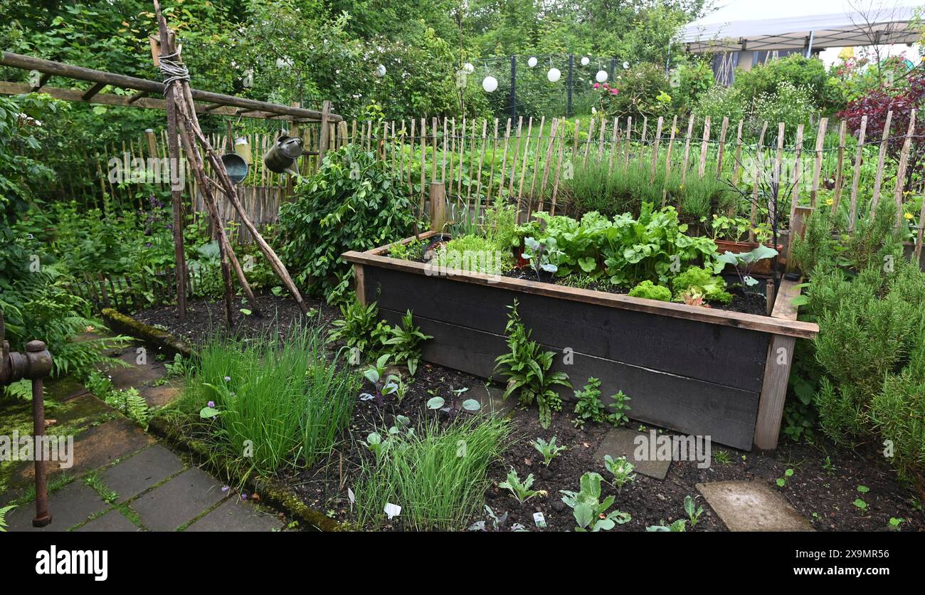 DEU. Deutschland, Iserlohn: Der Hobbygärtner in Iserlohn unterhält einen außergewöhnlichen Garten mit zahlreichen nicht heimischen Pflanzen Stockfoto