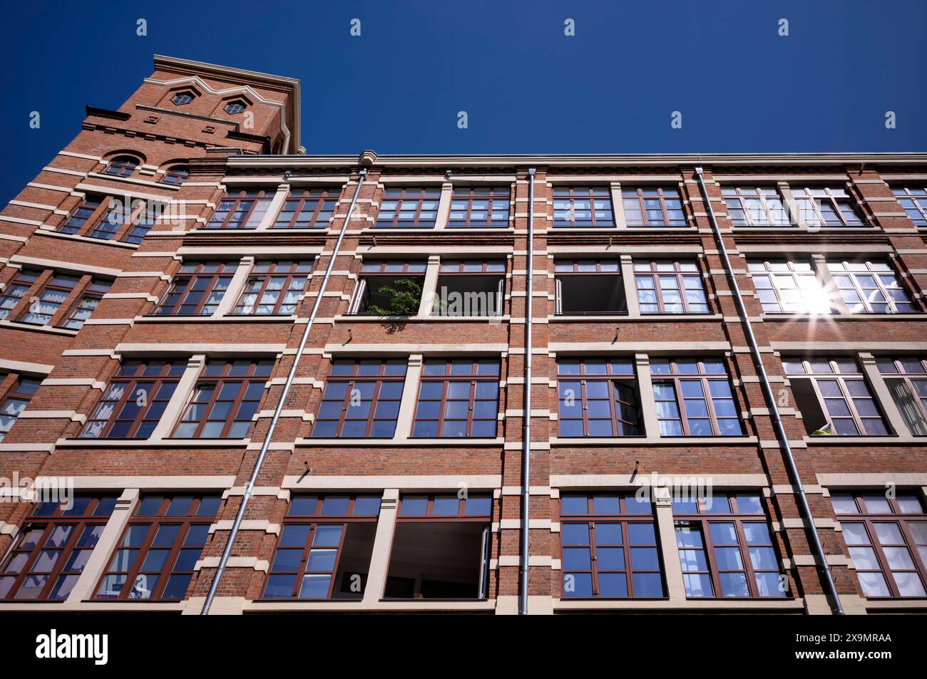 Haus Plagwitz, Buntgarnwerke, ehemaliger Industriekomplex in Wohnraum umgebaut, Wohnungen, Kulturgebäude, Leipzig, Sachsen, Deutschland Stockfoto