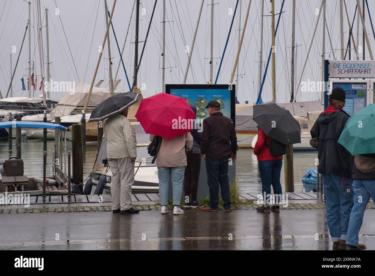 Konstanz, Personen mit Regenschirmen schauen auf die Wettervorhersage am Segelhafen *** Konstanz, Menschen mit Regenschirmen schauen sich die Wettervorhersage an Stockfoto