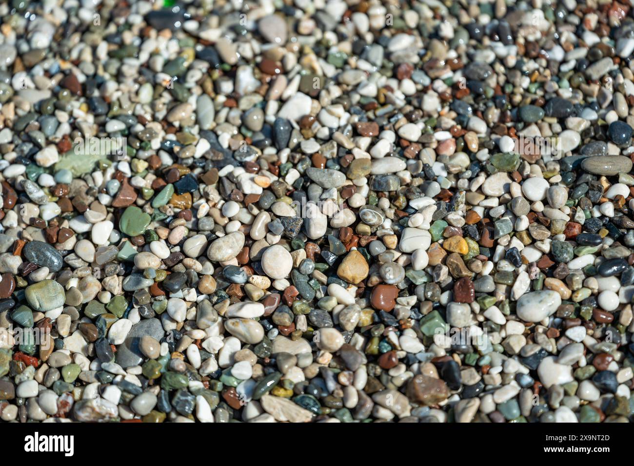 Strand mit bunten kleinen runden Steinen an einem sonnigen Tag Stockfoto