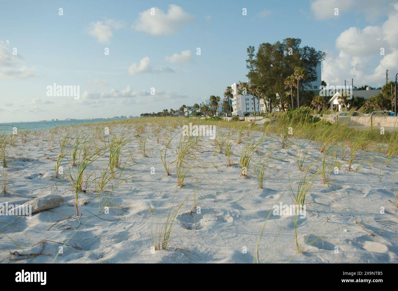 Weitwinkelblick auf den Pass-a-Grille Strand in St. Pete Beach Florida mit Blick nach Norden über grüne Meereshafer und Sand. Wellen im Wasser, nahe Sonnenuntergang mit Blau Stockfoto