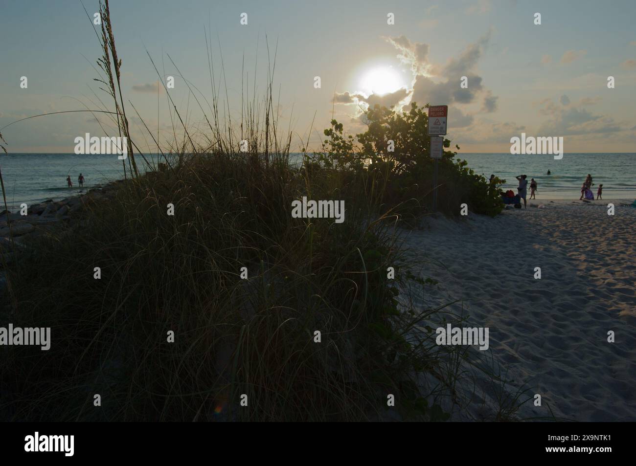 Weitwinkelblick auf den Pass-a-Grille Strand in St. Pete Beach Florida mit Blick nach Westen in die Sonne über grünem Meer Hafer und Sand. In die Sonne. Wellen im Wasser, Stockfoto