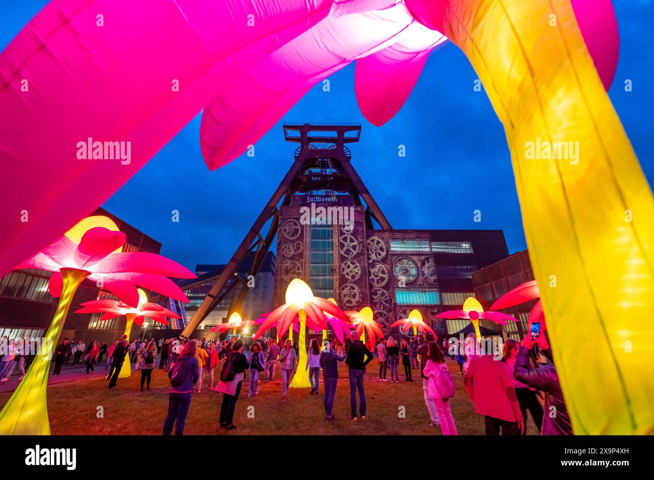 Extraschicht, die lange Nacht der Industriekultur, Kulturfest quer durch das Ruhrgebiet, 35 Spielorte in 19 Städten, hier Leuchtende Blumen Illumination an der Zeche Zollverein in Essen, Doppelbock Fördergerüst Schacht 12, NRW, Deutschland, Extraschicht Zollverein *** Extraschicht, die lange Nacht der Industriekultur, Kulturfestival im Ruhrgebiet, 35 Veranstaltungsorte in 19 Städten, hier leuchtende Blumen in der Zeche Zollverein in Essen, Doppelbock Pithead Wickelturm Schacht 12, NRW, Deutschland, Extraschicht Zollverein Stockfoto
