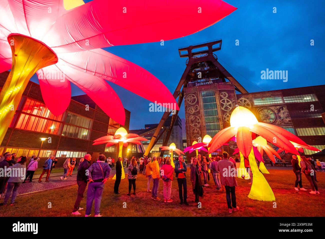 Extraschicht, die lange Nacht der Industriekultur, Kulturfest quer durch das Ruhrgebiet, 35 Spielorte in 19 Städten, hier Leuchtende Blumen Illumination an der Zeche Zollverein in Essen, Doppelbock Fördergerüst Schacht 12, NRW, Deutschland, Extraschicht Zollverein *** Extraschicht, die lange Nacht der Industriekultur, Kulturfestival im Ruhrgebiet, 35 Veranstaltungsorte in 19 Städten, hier leuchtende Blumen in der Zeche Zollverein in Essen, Doppelbock Pithead Wickelturm Schacht 12, NRW, Deutschland, Extraschicht Zollverein Stockfoto