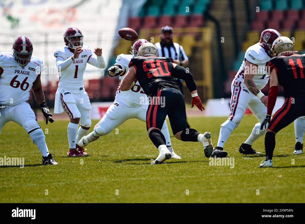 Berlin Thunder, Ben Baierl (Berlin Thunder, #90), GER, Berlin Thunder vs. Prague Lions, American Football, Saison 2024, European League of Football, elf, Woche 2, 02.06.2024, Foto: Eibner-Pressefoto/ Claudius Rauch Stockfoto